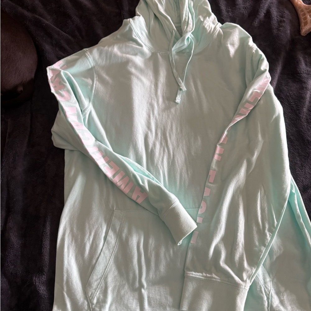 Mint Green Hoodie with Pink Lettering